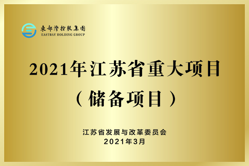 2021年江苏省重大项目