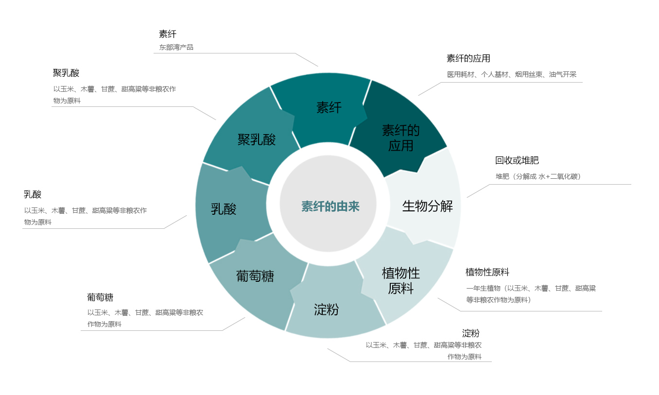 素丝的由来